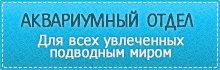 1 банер