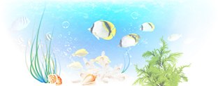 footer fish