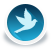 icon bird