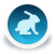 icon rabbit