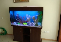 Изготовление аквариумов на заказ