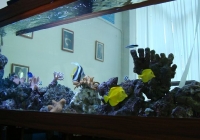 Изготовление аквариумов на заказ